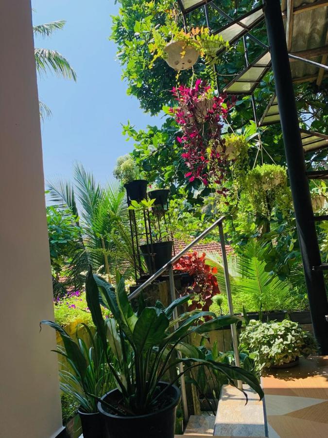 Hotel Art House Dikwella Sur Exterior foto